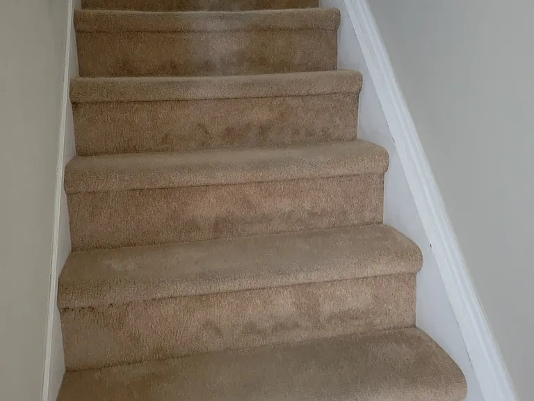 15 Somerset St #1 — Photo 11