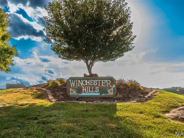 461 Buzzard Rock Rd, Farmington, MO 63640