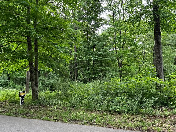 3rd image of 7699 Grizzly Dr