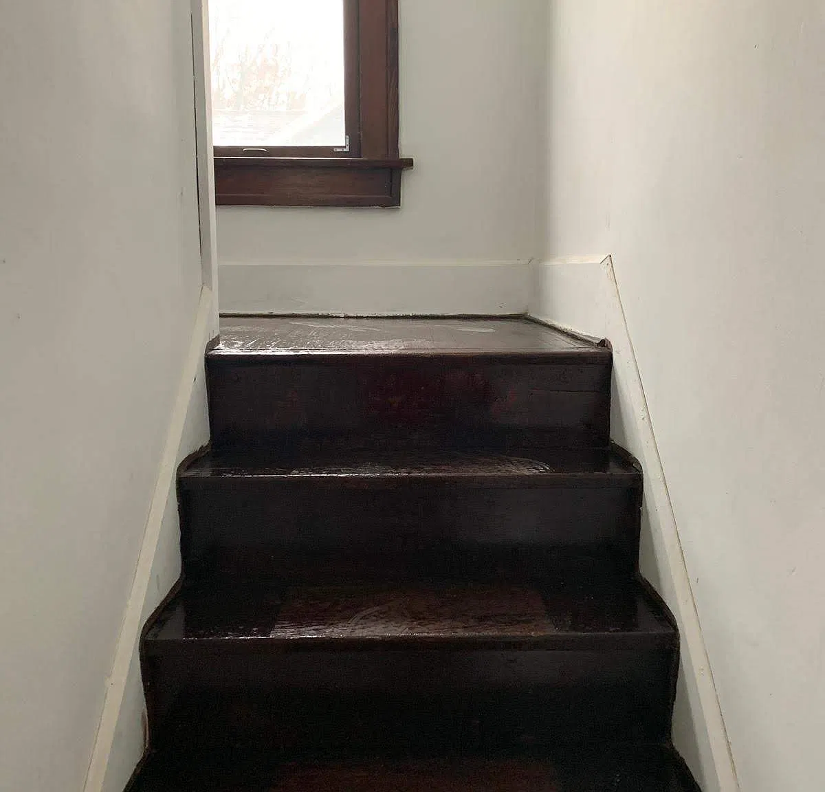 515 Bina Ave — Photo 2