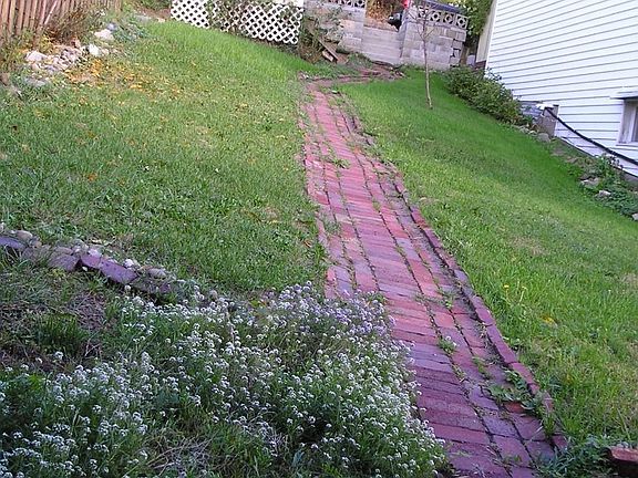 yard