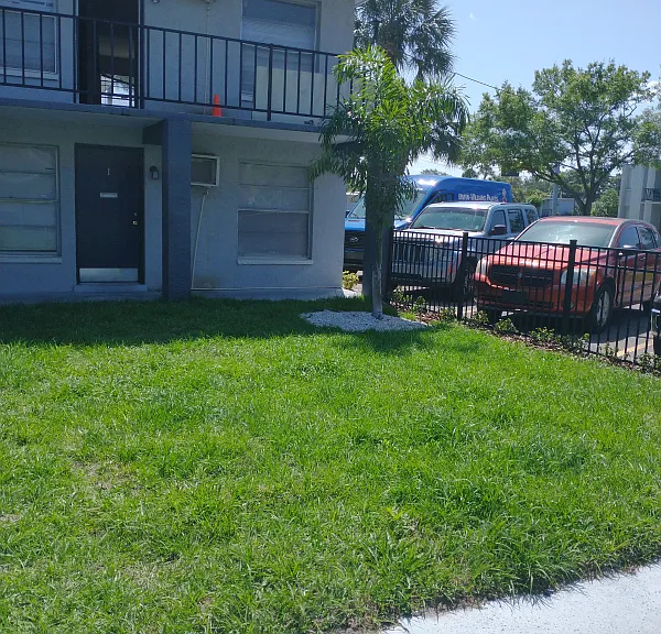 Roma on Dale Mabry II — Photo 6