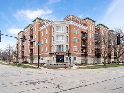 235 N Smith St APT 206, Palatine, IL, 60067