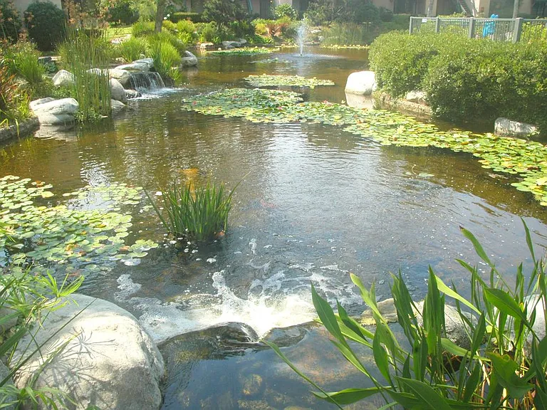 12205 Carmel Vista Rd #141 — Photo 16