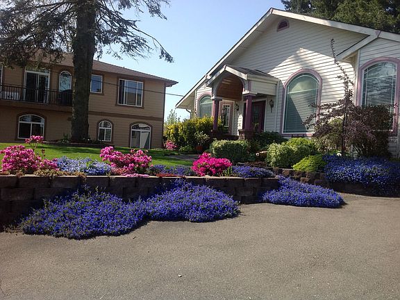 Summer in Full Bloom