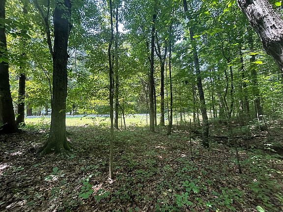 5th image of Lakeview Ln #304