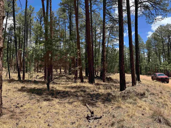 Balkans Dr, Timberon, NM 88350