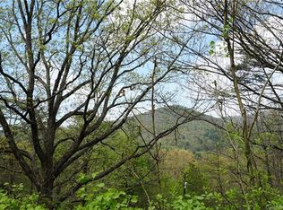 46 E Mountain Way, Asheville, NC 28805