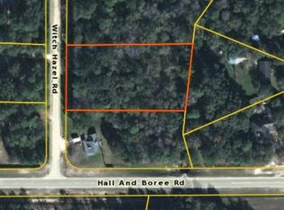 2891 Witch Hazel Rd, Middleburg, FL 32068