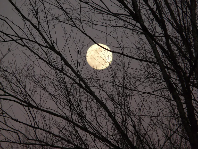 Full Moon over the Farm