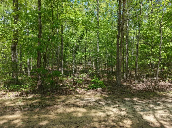 0 Jim Black Dr, Old Fort, TN 37362