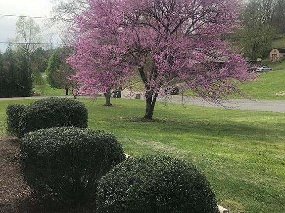 3rd image of 5125 Woods Way
