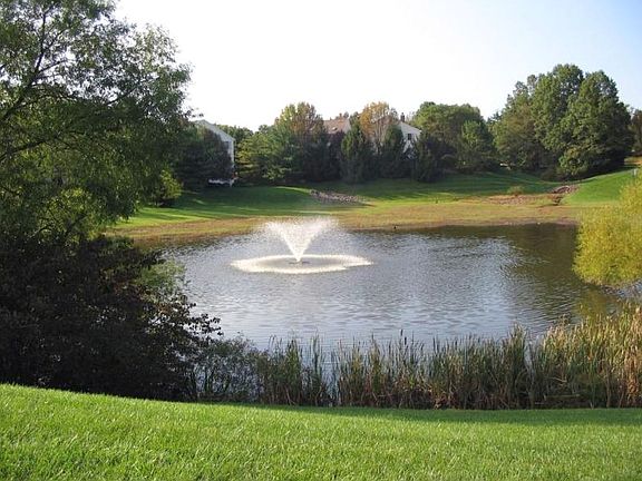 Beautiful Grounds in Complex