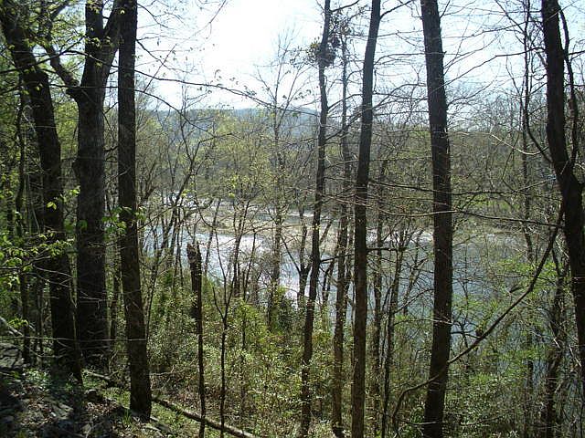 1st image of 5 Sweetgum Ln