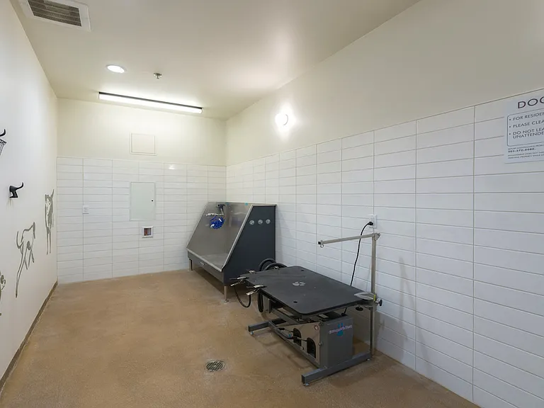 Pet wash station designed for convenience and care.