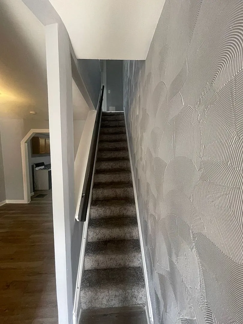 Recently Renovated Three Bed One Bath Ready For A New Tenant! — Photo 4