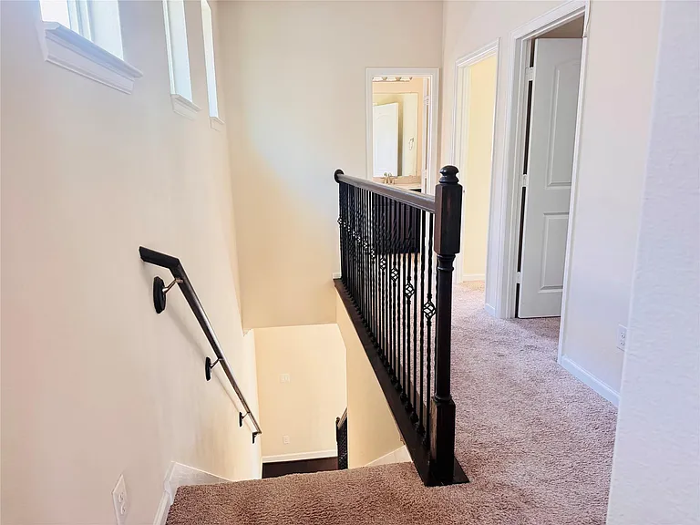 10009 Spring Shadows Park Cir — Photo 10