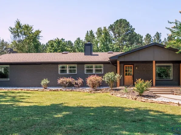 357 Hardy Holcomb Rd, Hallsville, TX 75650