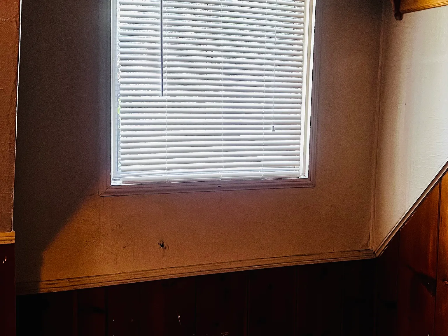 Acorn Ln, Twin Peaks — Photo 3