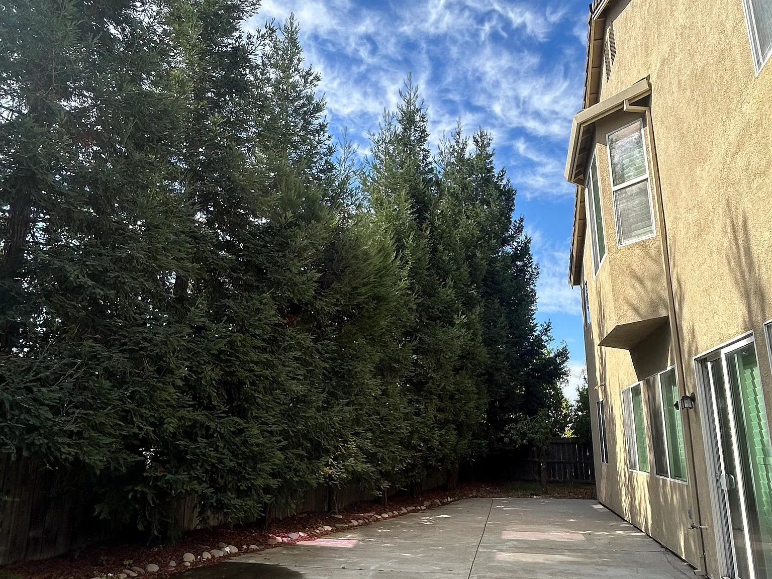 2256 Plumeria Pl — Photo 4