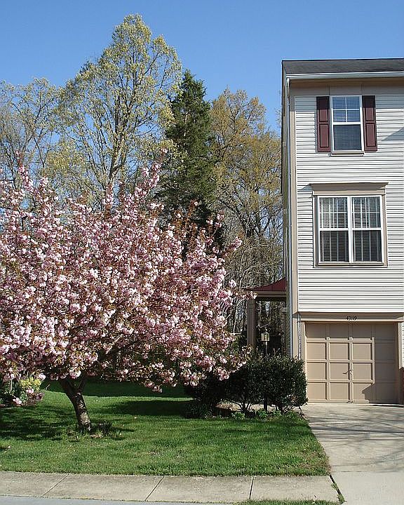 1st image of 43119 Autumnwood Sq