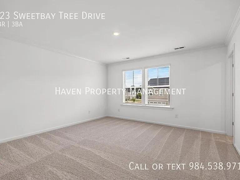 323 Sweetbay Tree Dr — Photo 16