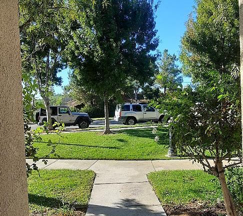 2nd image of 28603 Pietro Dr