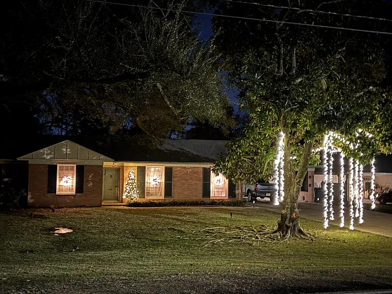 1410 Forsythe Ave — Photo 17