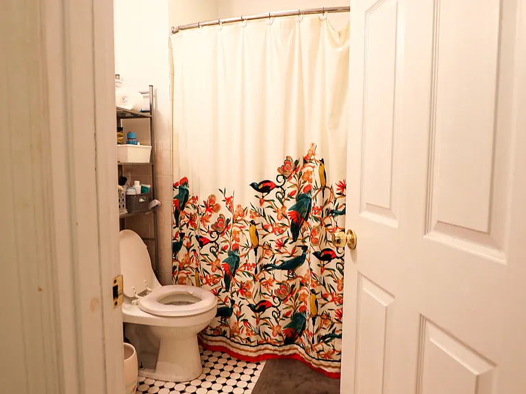 62 Egmont St #5A — Photo 6