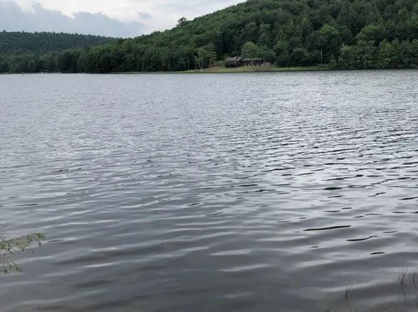 565 E Lake Rd, Bear Creek, PA 18602