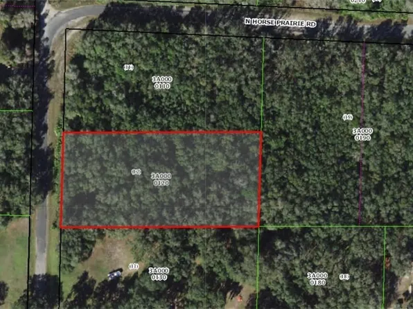849 N Horse Prairie Rd, Inverness, FL 34450