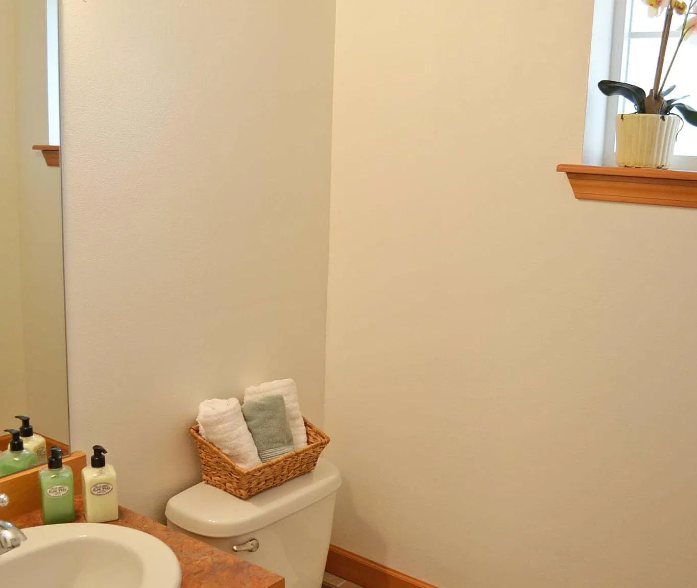 2 bed, 1.5 bath, 982 sqft, $2,500 — Photo 3