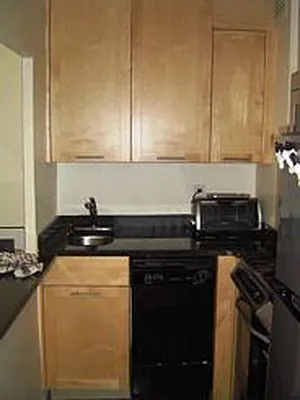 Rented by Manhattan Apartment Organization | media 16