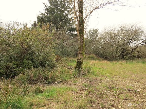 3rd image of 800 Wawona Avenue SW