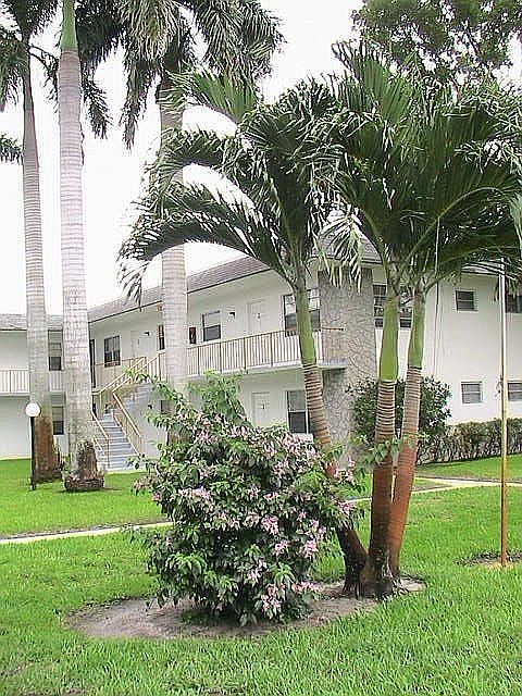 Tropical Exterior