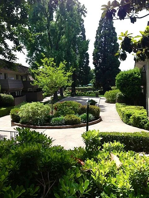 Hacienda Apartments — Photo 2