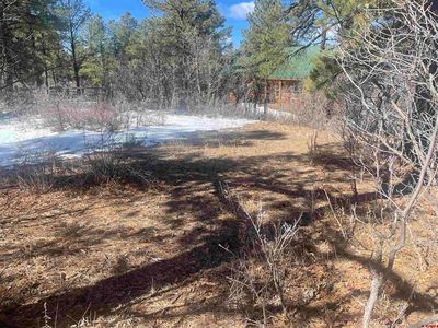 41 Pueblo Court, Pagosa Springs, CO, 81147