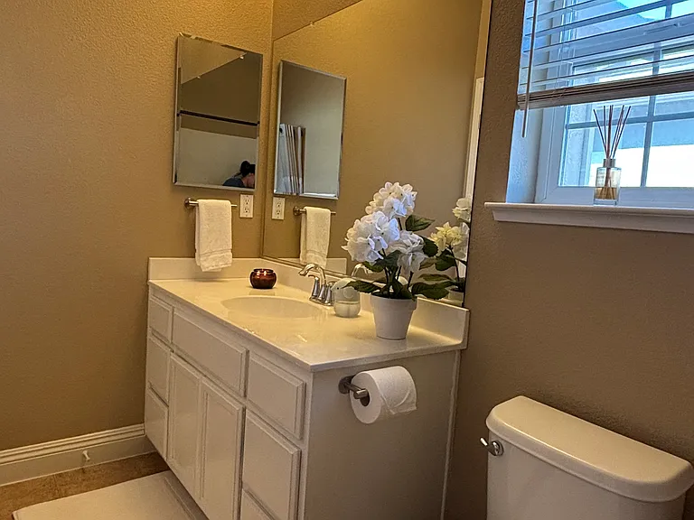 343 Carriage Ln — Photo 23