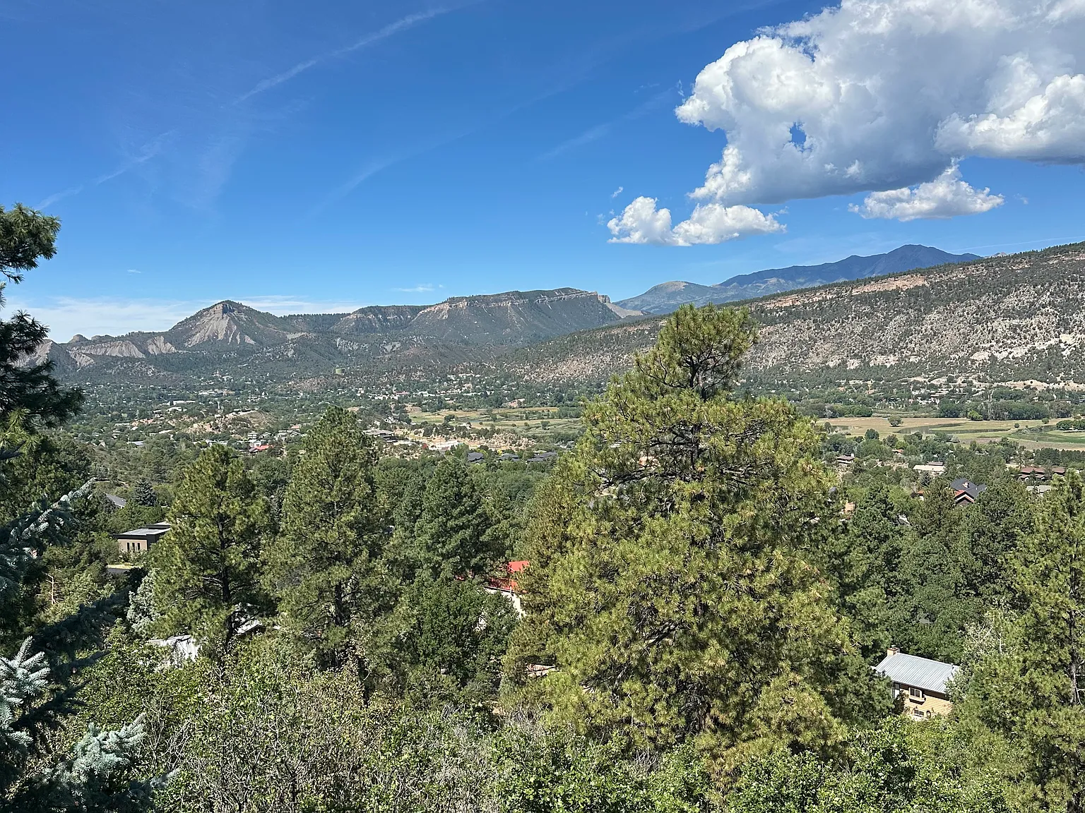 5 bed, 4700 sqft, $6,500 — Photo 2