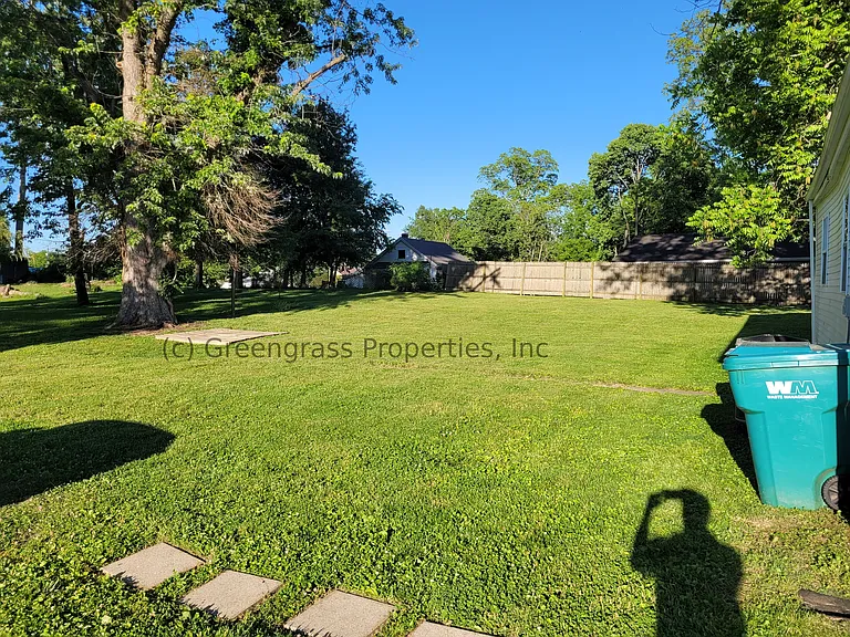Back yard