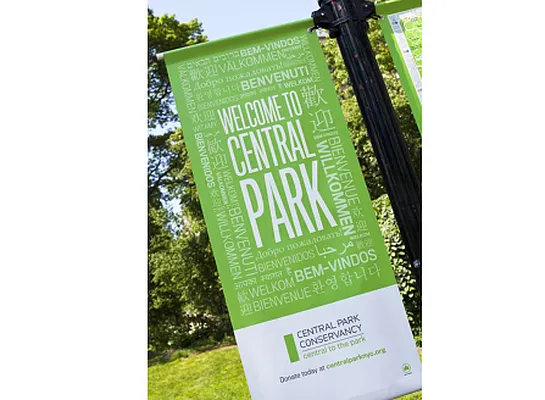 Rented by Stellar Management | media 4