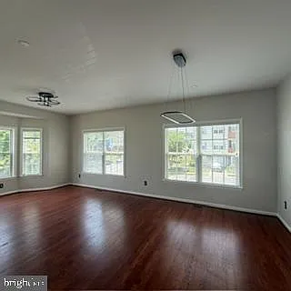 100 Sand Dollar Cv — Photo 6