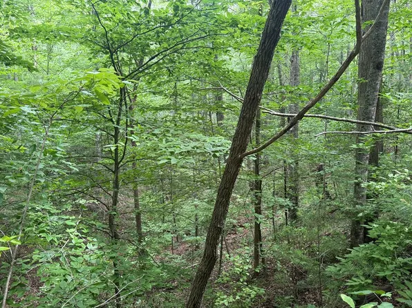 Spiva Cove Cir, Blairsville, GA 30512
