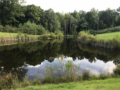 0000 Flat Rock Rd, Alberta, VA, 23821