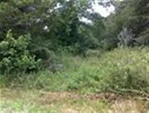 2nd image of 14125 Dorsey Rd