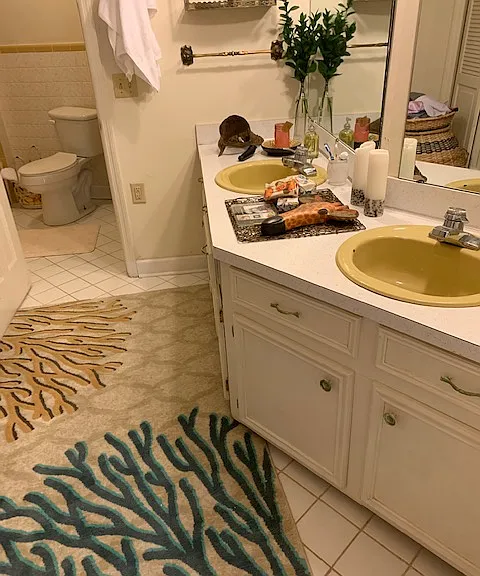 Master bathroom