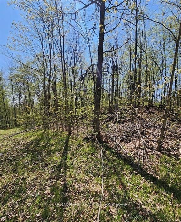 1st image of 0 Burke Settlement Rd