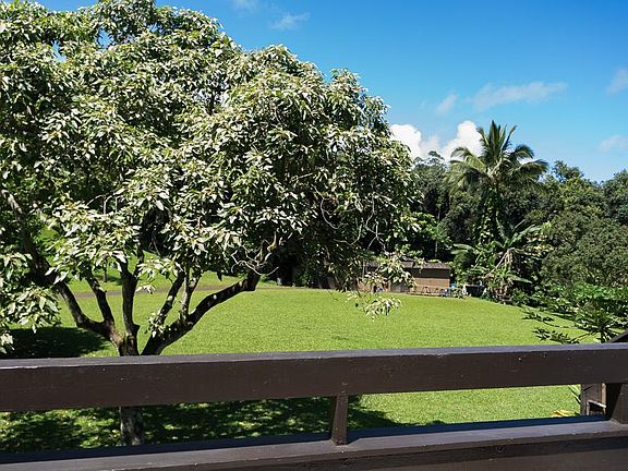 Enjoy the lush, tropical views of Kaneohe!