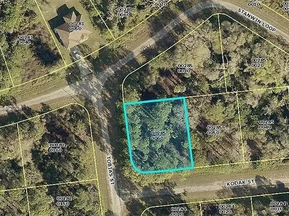 676 Kodak St, Lehigh Acres, FL 33972