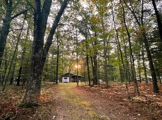8751 N Squaw Lake Rd, Irons, MI 49644